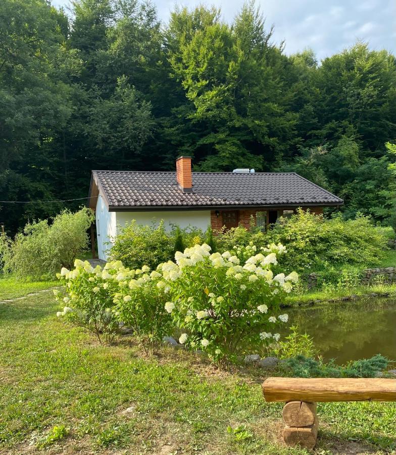 Holiday Home Usadba Novoselitsa Novoselitsa  Esterno foto