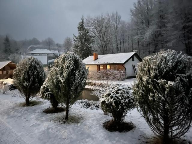Holiday Home Usadba Novoselitsa Novoselitsa  Esterno foto