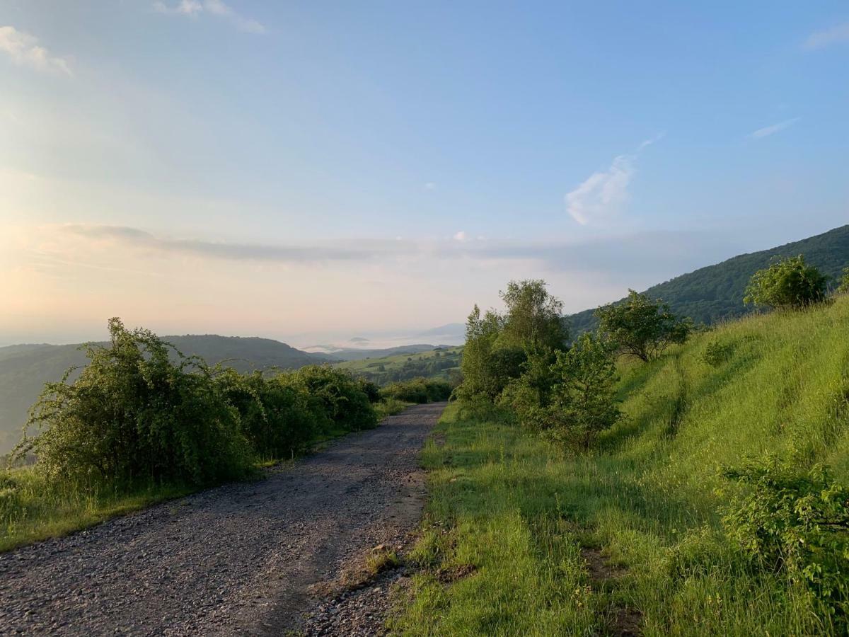 Holiday Home Usadba Novoselitsa Novoselitsa  Esterno foto
